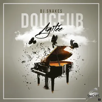 Douceur Agitée by Dj Snakes