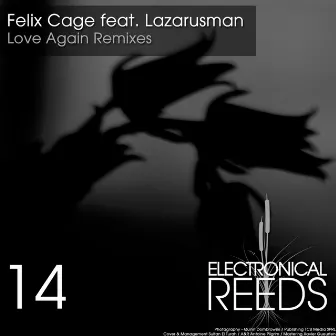 Love Again Remixes by Felix Cage