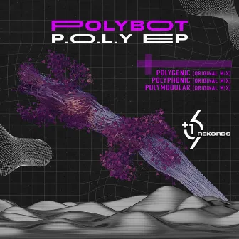 P.O.L.Y. by Polybot