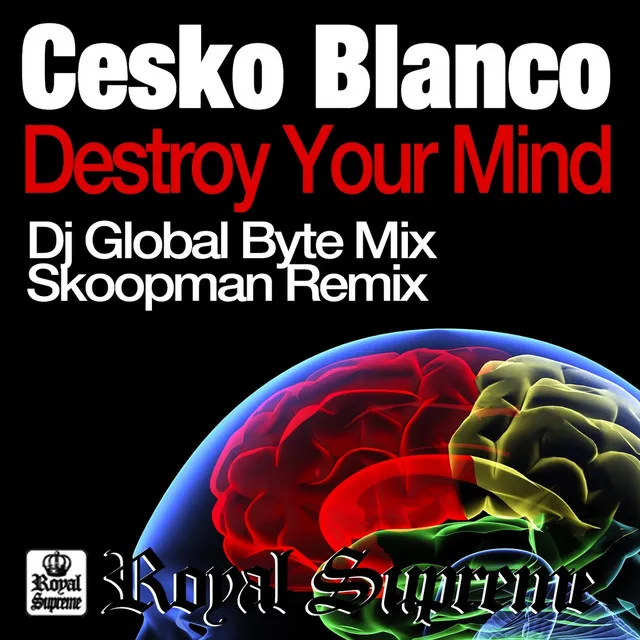 Destroy Your Mind (DJ Global Byte Mix)