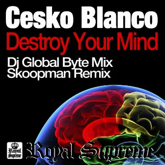 Destroy Your Mind (DJ Global Byte Mix) by Cesko Blanco