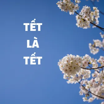 Tết Là Tết by BDMedia