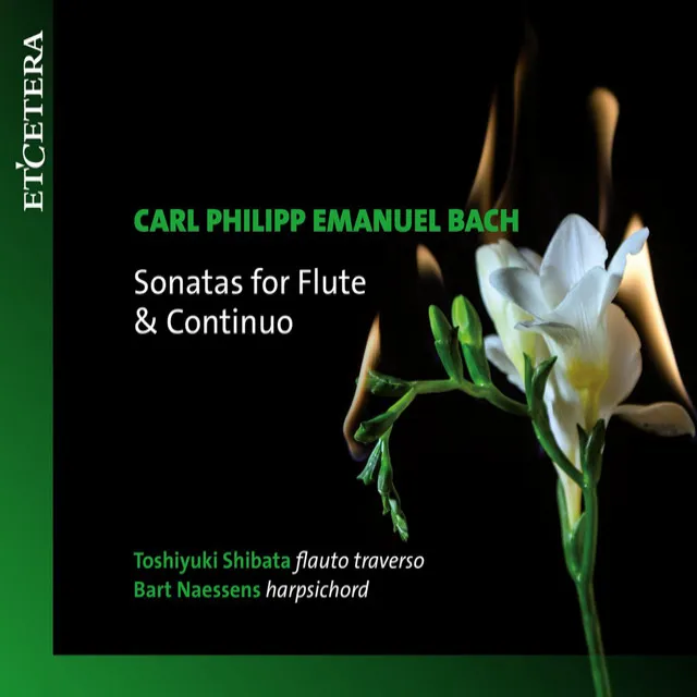 Sonatas for Flute & Continuos: Sonata in G Major, H.550: I. Andante