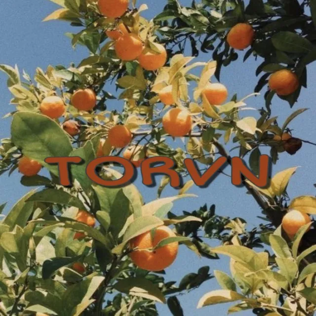 TORVN