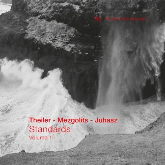 Standards - Volume 1 by Yves Theiler