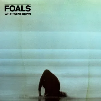 What Went Down by Foals