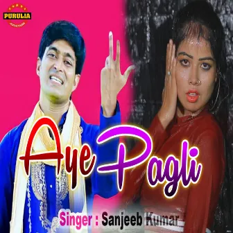 Aye Pagli by Sanjeeb Kumar