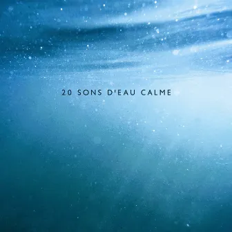 20 sons d'eau calme: Relaxation saine, Énergie naturelle, Eau apaisante, Purification l'esprit by Zone D'eau Tranquil