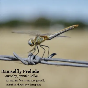 Damselfly Prelude by Ka-Wai Yu