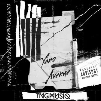 Yano Avenue by TNG MUSIQ