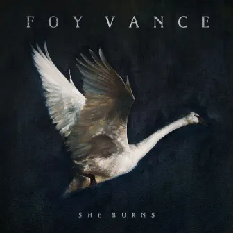 She Burns by Foy Vance