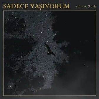 Sadece Yaşıyorum by shiw3rh