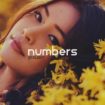 Numbers by Voxlight