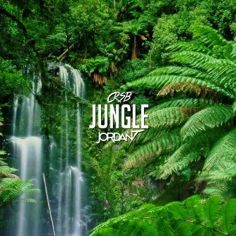 Jungle (feat. Jordan T) by CRSB