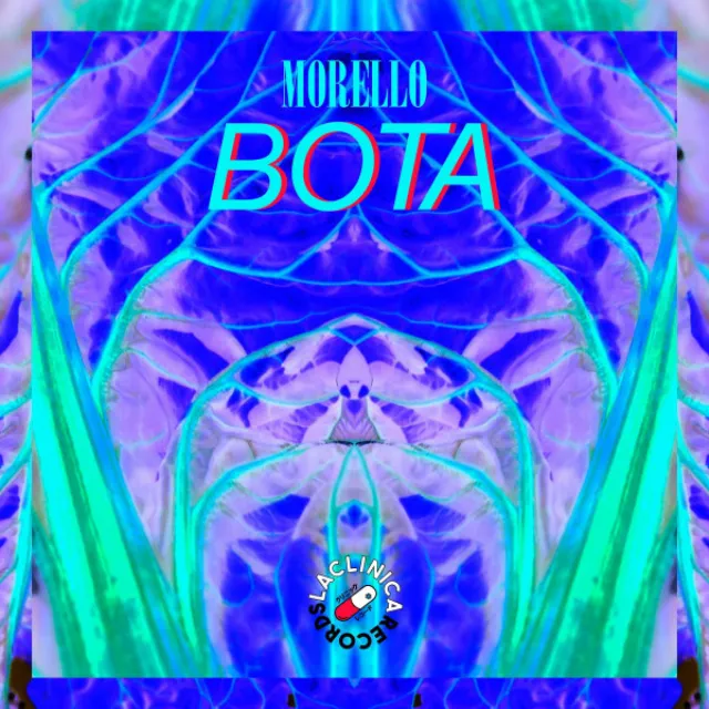 Bota