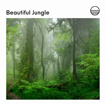 Beautiful Jungle by Relaxing Forest Sounds