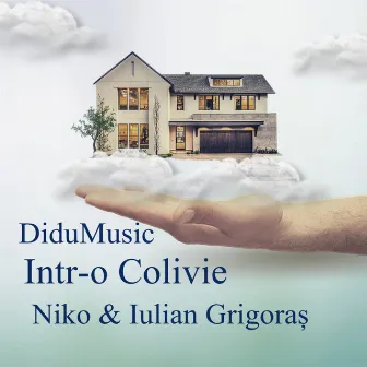 Intr-o Colivie by Niko