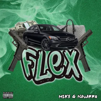 Flex by Mike G Navarro