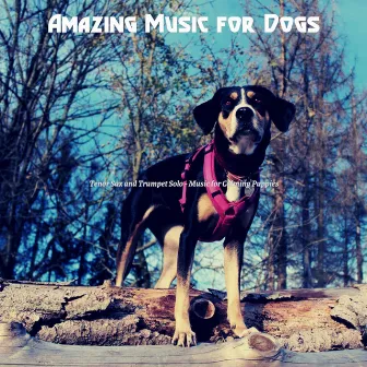 Tenor Sax and Trumpet Solo - Music for Calming Puppies by Amazing Music for Dogs