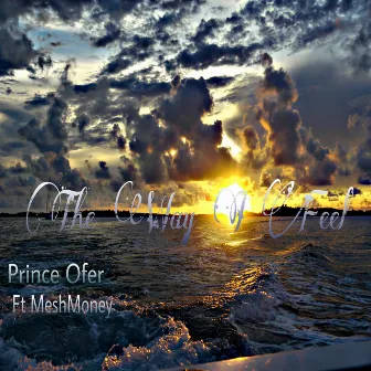 The Way I Feel by Prince Ofer