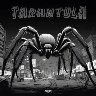 Tarantula by esat