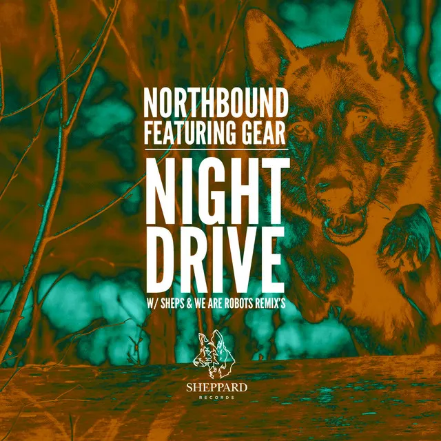 Night Drive - We Are Robots Rmx