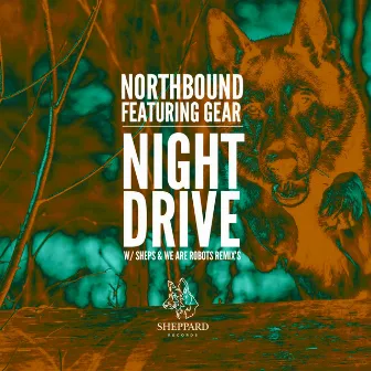 Night Drive by Northbound