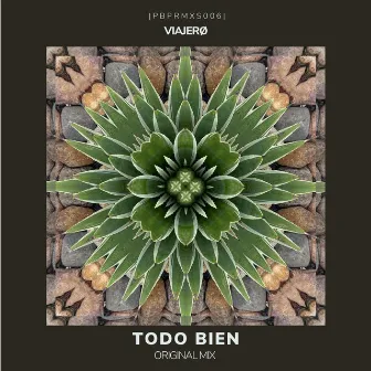 Todo Bien by Viajerø