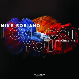 Love Got You by Mike Soriano