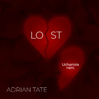 LOST (Uchamira neni) by Adrian Tate