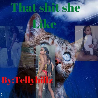 That Shit She Like by Telly Billz