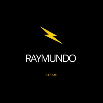 Steam (Live) by Raymundo