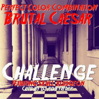 Challenge by Perfect Color Combination