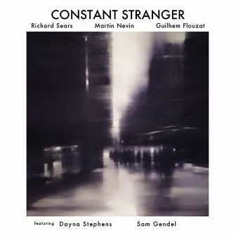 Constant Stranger by Martin Nevin