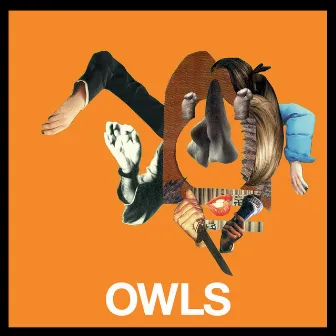 Owls by OWLS