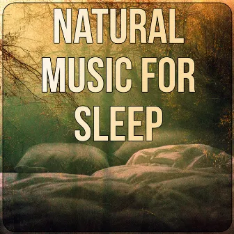 Natural Music for Sleep - Insomnia Therapy, Serenity Lullabies, Relaxing Nature Sounds, Sleep Music to Help You Relax all Night, Instrumental Music for Massage Therapy, Yoga Music by Natural Sleep Aid Ensemble