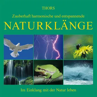 Naturklänge by Thors