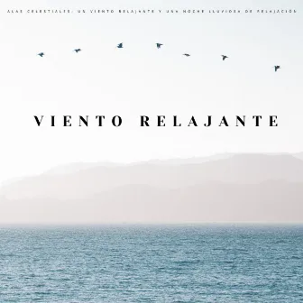 Alas Celestiales: Un Viento Relajante Y Una Noche Lluviosa De Relajación by Sonidos Naturales del Pajaro