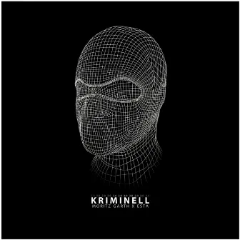 Kriminell 2.0 by Moritz Garth