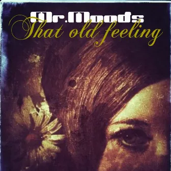 That Old Feeling by Mr. Moods