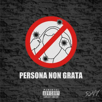 PERSONA NON GRATA by Es Kay