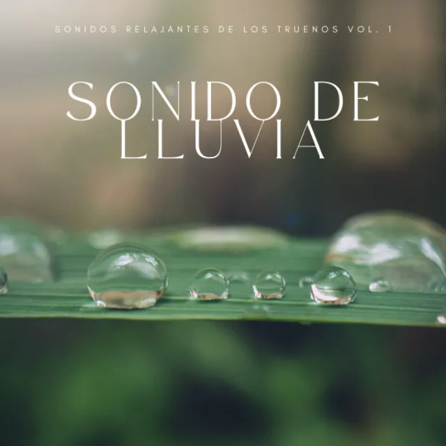 Sonido De Lluvia: Sonidos Relajantes De Los Truenos Vol. 1