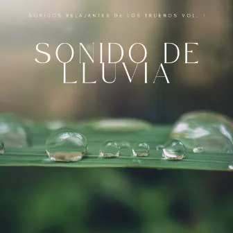 Sonido De Lluvia: Sonidos Relajantes De Los Truenos Vol. 1 by Música para Desayuno Música De Fondo