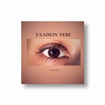 Yaadein Teri by Ashlesha