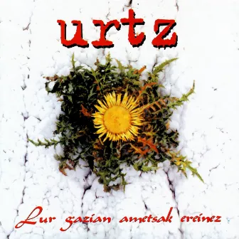 LUR GAZIAN AMETSAK EREINEZ by Urtz