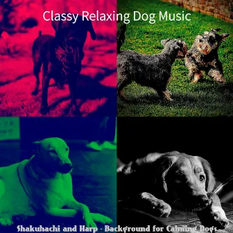 Shakuhachi and Harp - Background for Calming Dogs by 