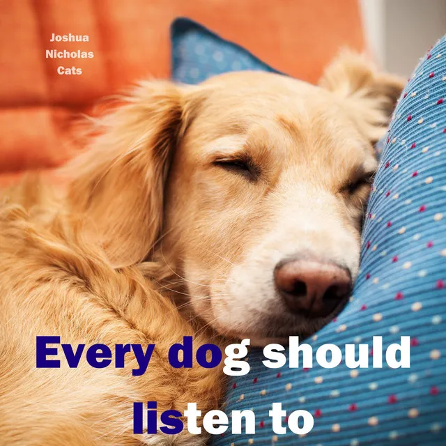 Every dog should listen to