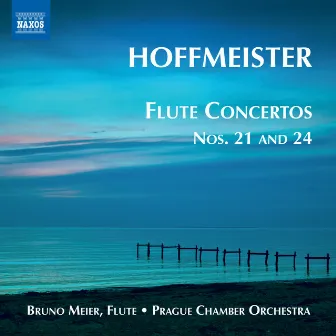 Hoffmeister: Flute Concertos, Vol. 1 by Bruno Meier