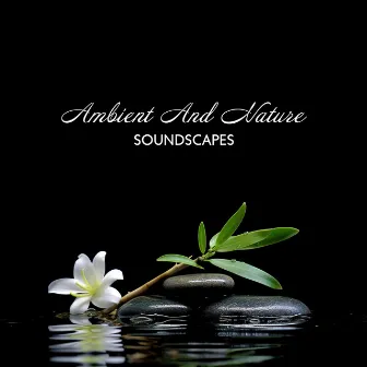 Ambient And Nature Soundscapes - Relaxation And Mindfulness Boost: Spa Ambiance by Spa Relief