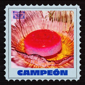 Campeón by Ters